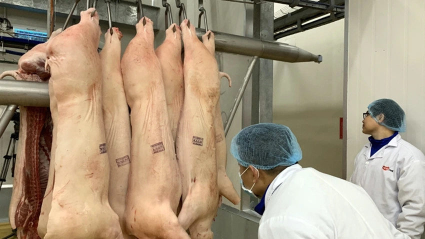 Nhu cầu thịt lợn dịp cuối năm được dự báo tăng từ 10-15% - Ảnh: Tâm An