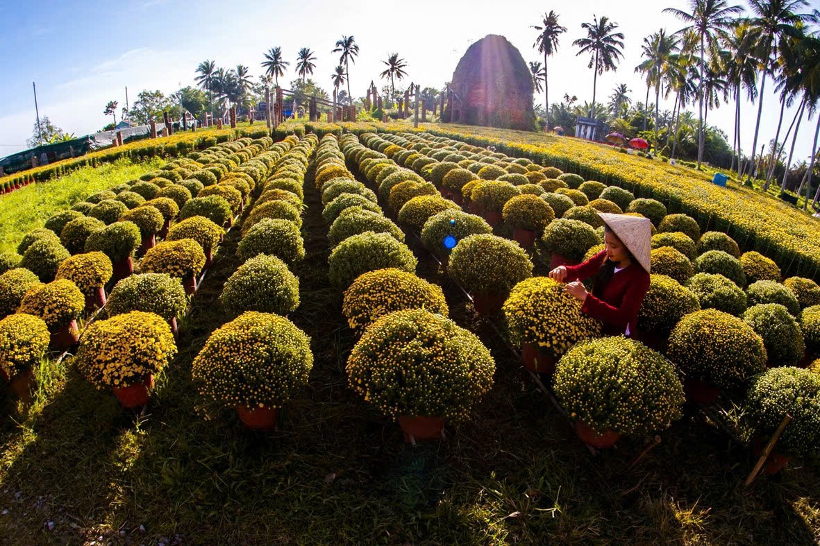 Huyện Chợ Lách mệnh danh là “vương quốc” của cây giống, hoa kiểng nổi tiếng cả nước. (Ảnh: BTC)