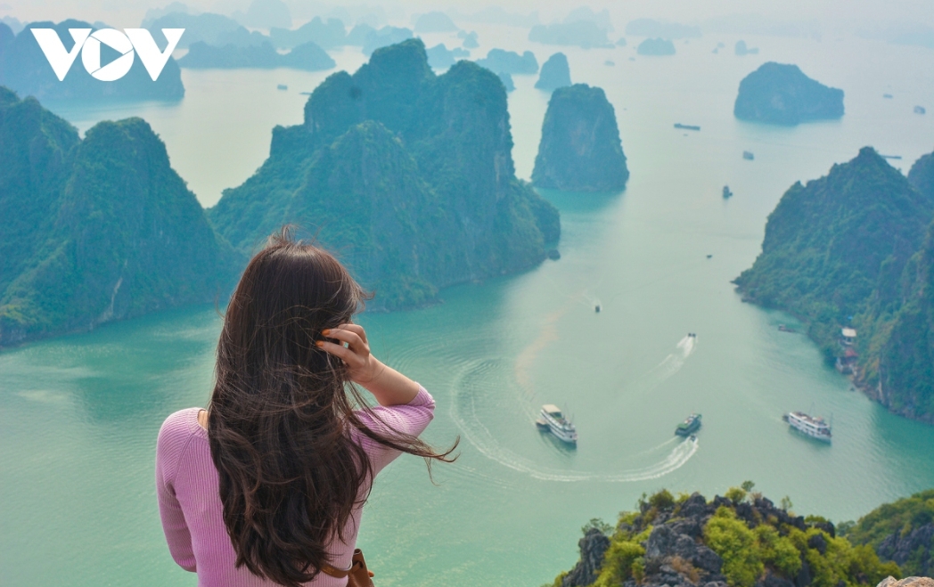 Ha Long Bay tops the Trending Search Terms, part of the Year in Search 2024 Report released by Internet browser Coc Coc.