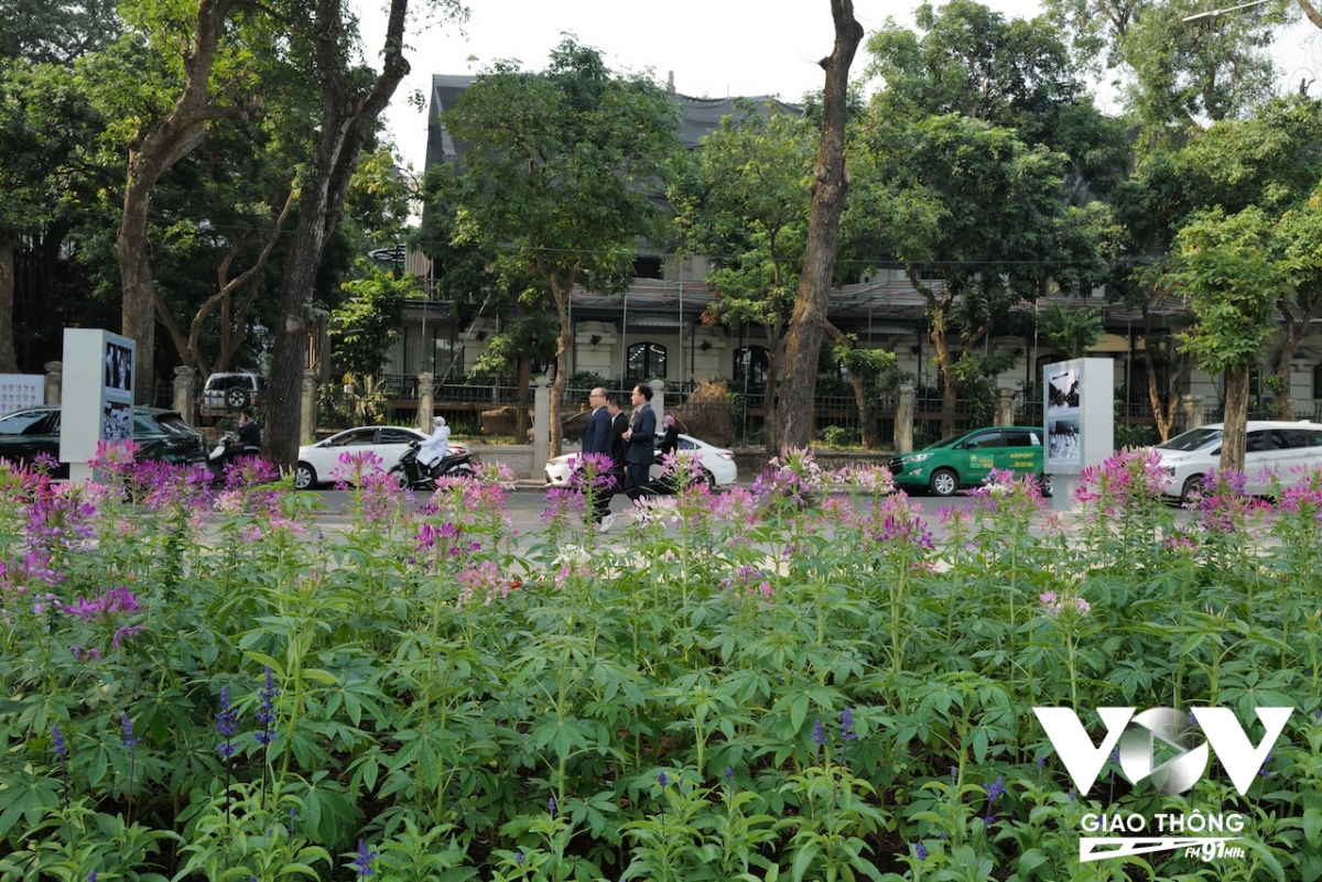 Những luống hoa khoe sắc quanh hồ Hoàn Kiếm thu hút nhiều người đến ngắm cảnh, chụp ảnh lưu niệm