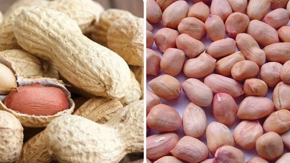 Lạc tốt cho sức khoẻ nhưng không phải ai cũng ăn được.
