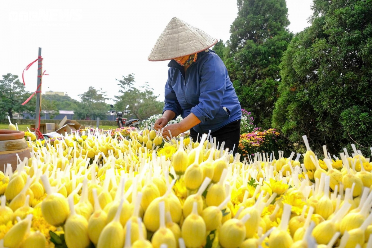 Beyond the floral displays, the festival will offer a number of exciting community activities aimed at honouring traditional craftsmanship and promoting tourism.