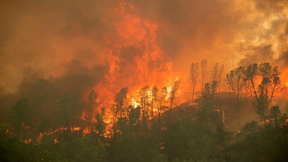 Một đám cháy rừng tại California. Ảnh: Reuters