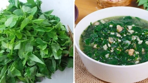 Rau ngót là thực phẩm tốt cho sức khoẻ nhưng không nên lạm dụng.