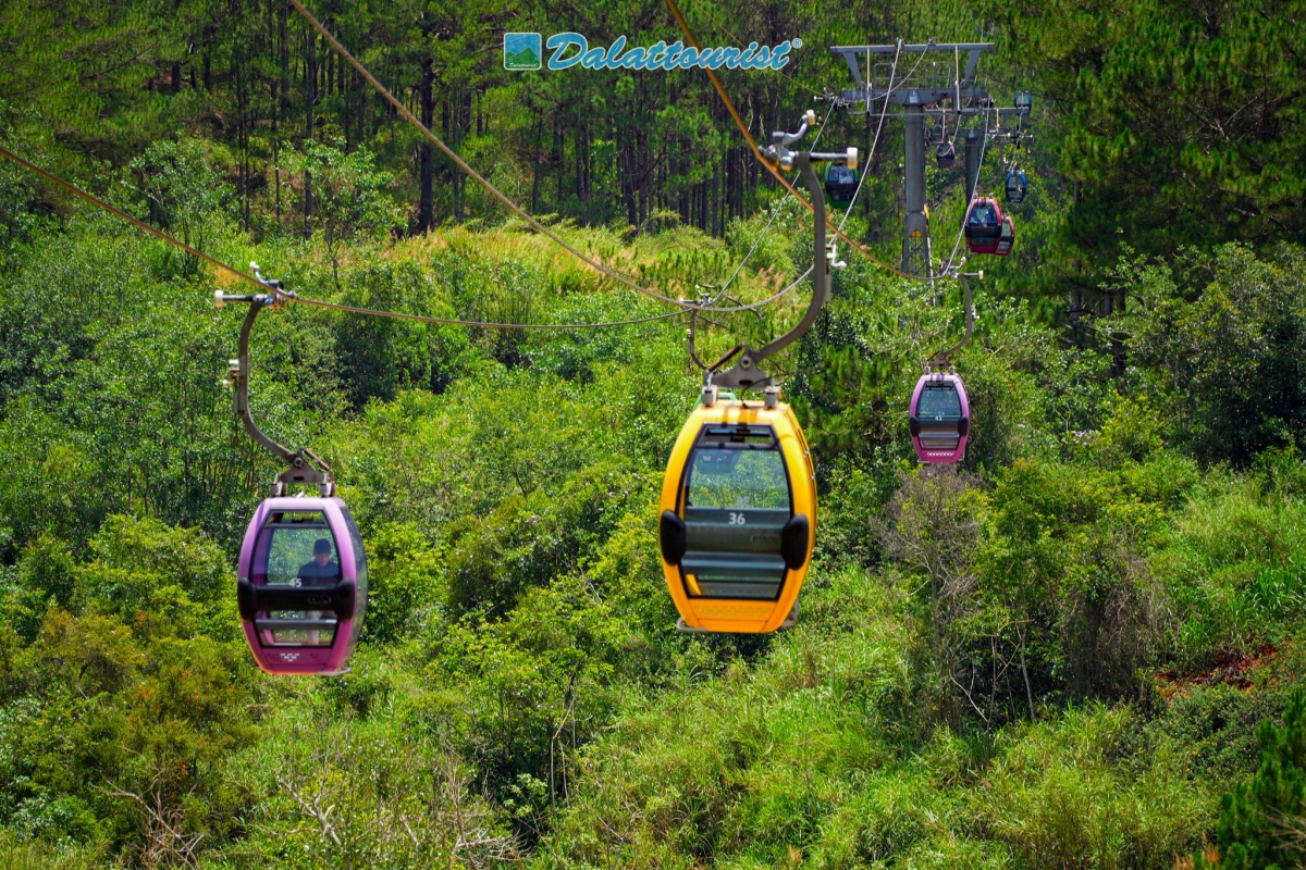Cáp treo Đà Lạt 