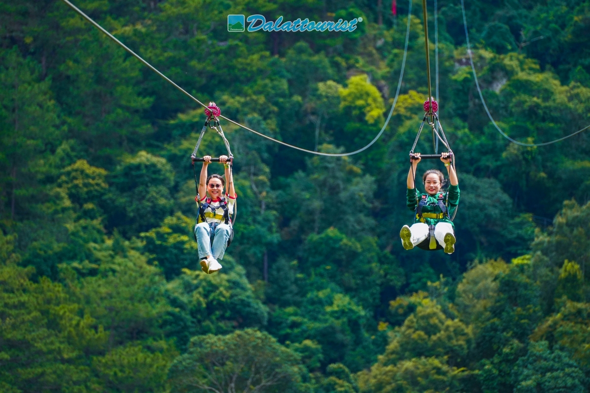 Zipline xuyên rừng tại Đà Lạt.