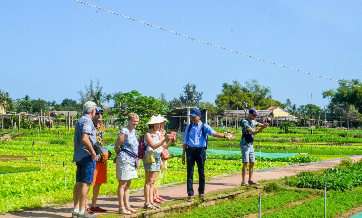 Khách quốc tế thăm Làng rau Trà Quế. Nguồn: Trung tâm VH-TT và TT-TH Hội An