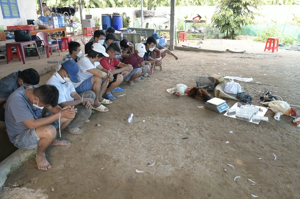 Một tụ điểm đá gà ăn tiền đã bị triệt phá