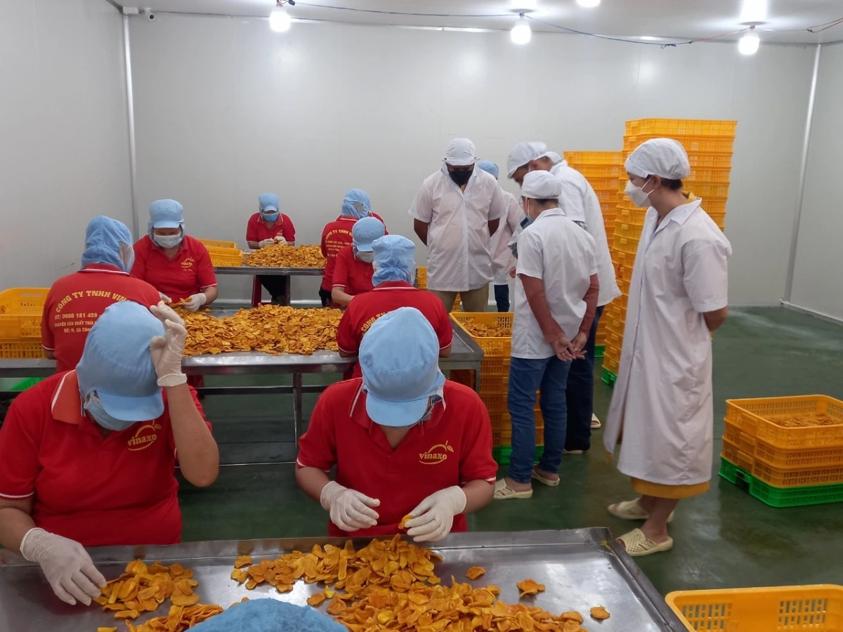 Cộng đồng doanh nghiệp ở Tiền Giang đã nỗ lực trong sản xuất kinh doanh, hoàn thành nghĩa vụ nộp thuế.