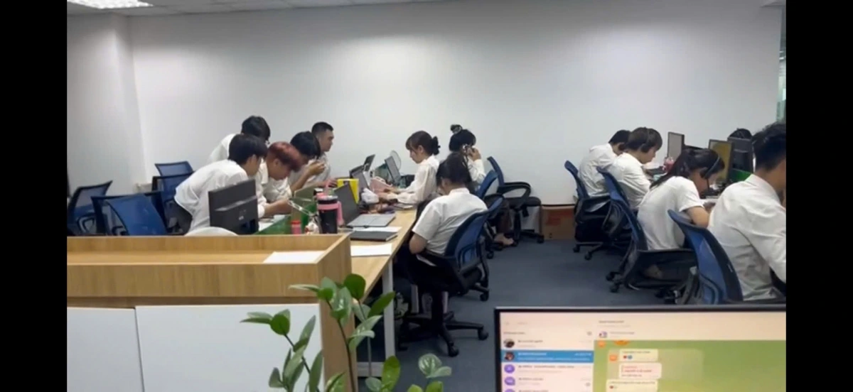 Mr Pips và đồng phạm thuê đến 1.000 nhân viên làm việc hàng ngày, hoạt động trên 44 văn phòng tại các tỉnh, thành phố.