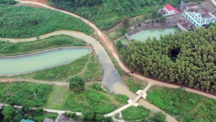 Ảnh minh họa - KT