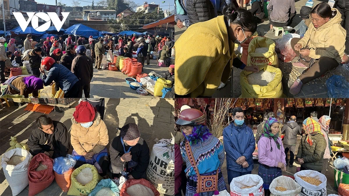 Various types of grains such as rice, glutinous rice, and corn are staple foods for the H'mong people and sell well since every household needs glutinous rice for making sticky rice and wrapping cakes during the Tet holiday.