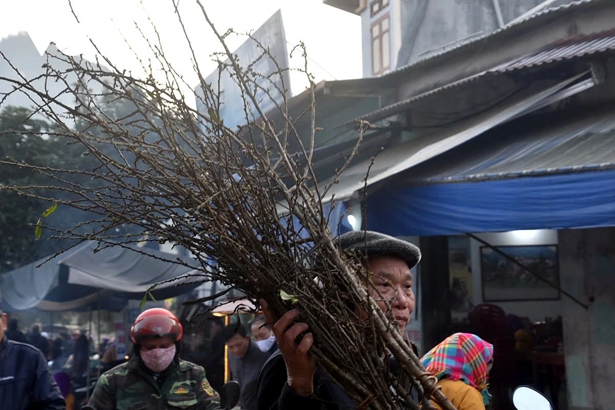 An elderly man goes to the market with a bundle of wild peach blossoms from the Northwest.