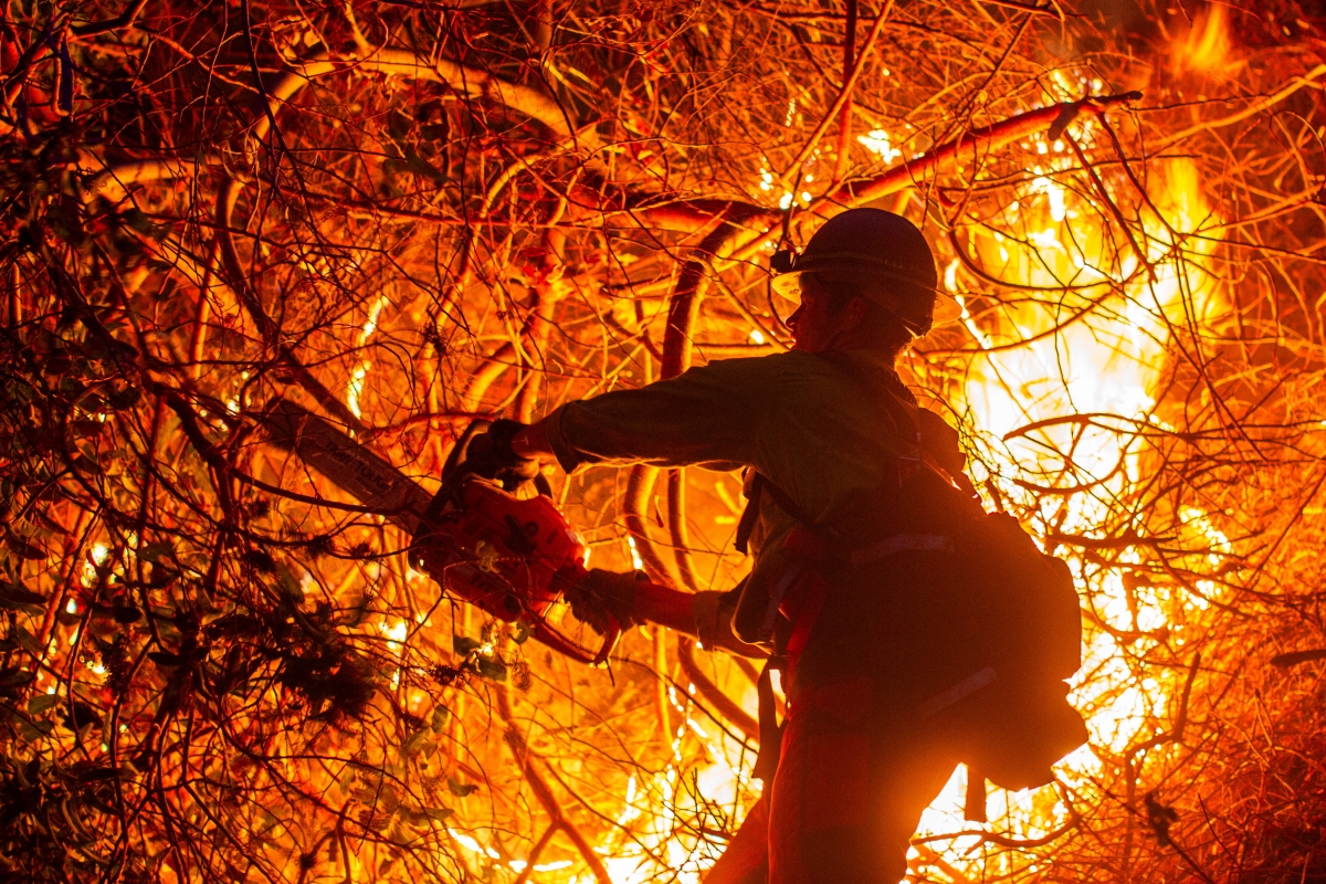 Cháy rừng ở Los Angeles ngày 12/1/2025. Ảnh: Reuters