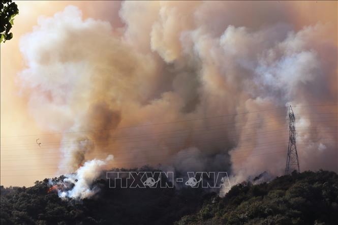 Khói bốc lên từ đám cháy rừng tại California, Mỹ ngày 11/1/2025. Ảnh: THX/TTXVN