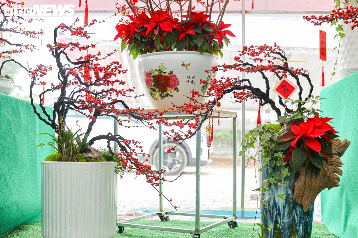 Theo khảo sát, giá thấp nhất là những chậu đào đông tiểu cảnh mini, bonsai để bàn từ 3 - 7 triệu đồng/chậu, những chậu lớn hơn có giá vài chục triệu đồng/chậu. Đáng chú ý, một số chậu cao cấp được làm tỉ mỉ với nhiều kiểu dáng cầu kỳ có thể lên tới trăm triệu đồng.