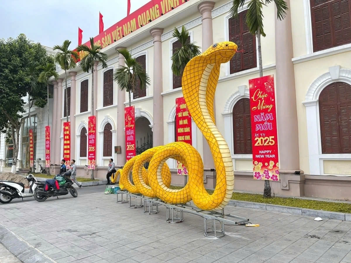 At 3-2 Square in Nam Dịnh city, a striking golden cobra mascot has been unveiled to celebrate the Lunar New Year 2025.