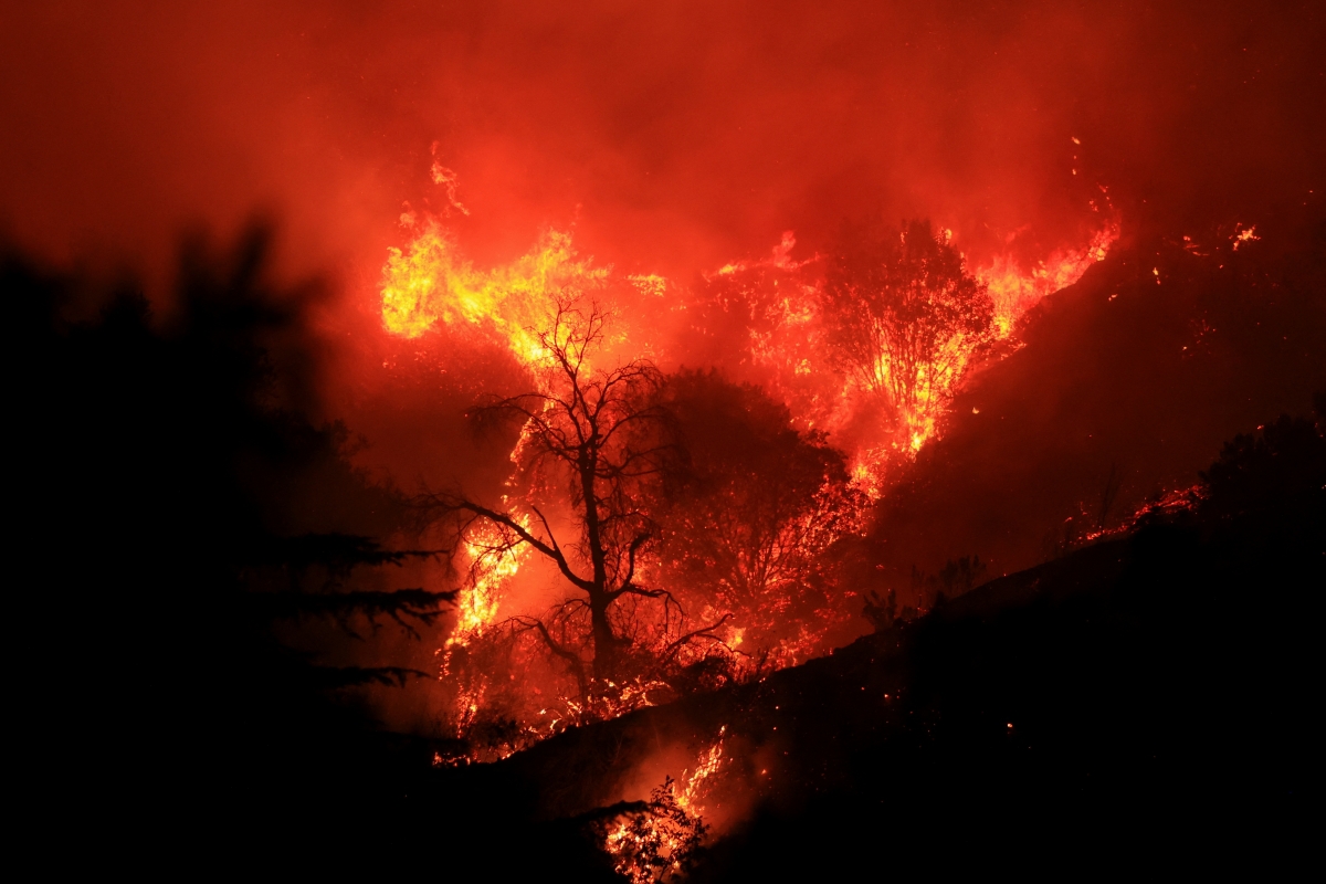 Cháy rừng ở California, Mỹ. Ảnh: Reuters