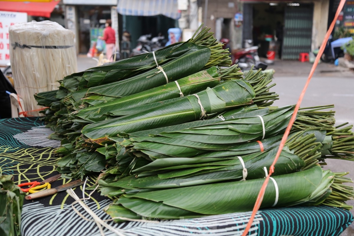 Dong leaves at the market are imported from various places, including from the provinces of Lao Cai, Tuyen Quang, Thanh Oai in Hanoi, and Phu Ly in Ha Nam.