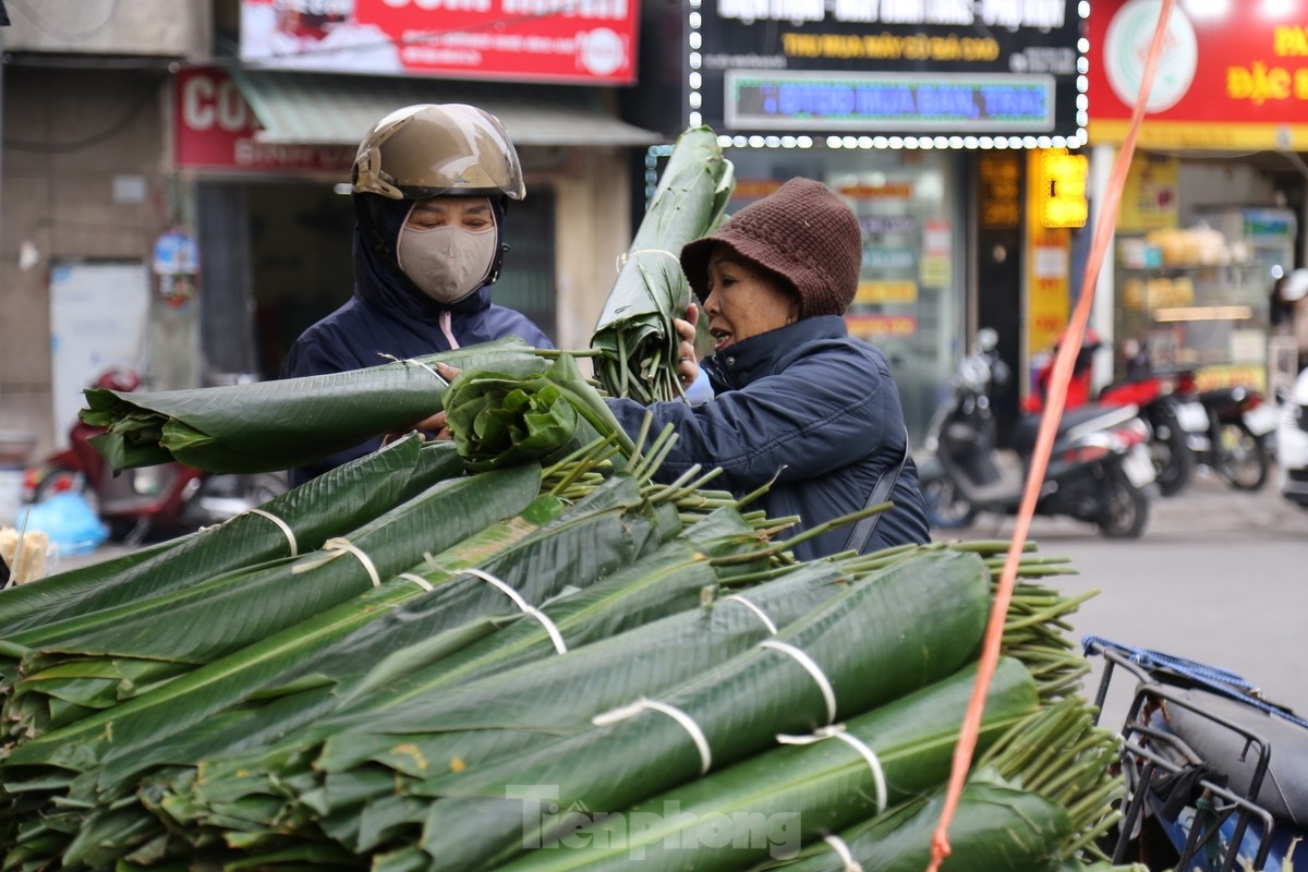 People in the capital head to the market to buy big, beautiful, and green Dong leaves to pack their Chung cakes to enjoy a traditional New Year.