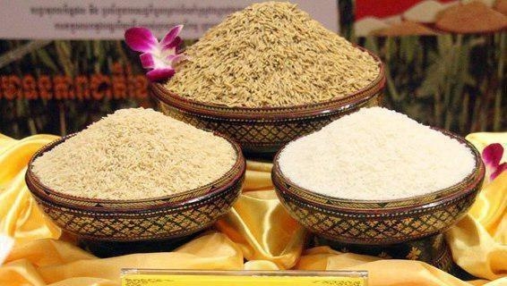 Ảnh minh họa: KT