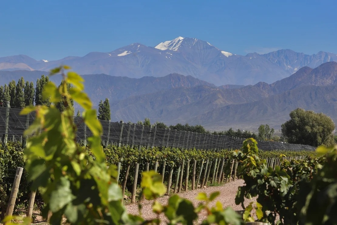Cảnh quan ở Mendoza (Argentina) với dãy núi Andes cao chót vót và các vườn nho bạt ngàn. Cách thủ đô Buenos Aires khoảng 1.000 kmvề phía đông, Mendoza tự hào về các loại rượu vang danh tiếng như Malbec, với khoảng 1.200 nhà máy rượu vang cùng các nhà hàng và spa đẳng cấp thế giới.