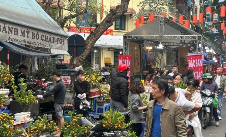 Visiting the Hang Luoc flower market, established over 100 years ago in Hanoi’s Old Quarter, is a favorite hobby of Hanoians every Tet.