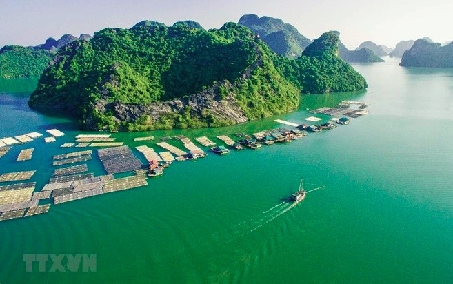 A floating fishing farm in Cat Ba island district in the northern city of Hai Phong.