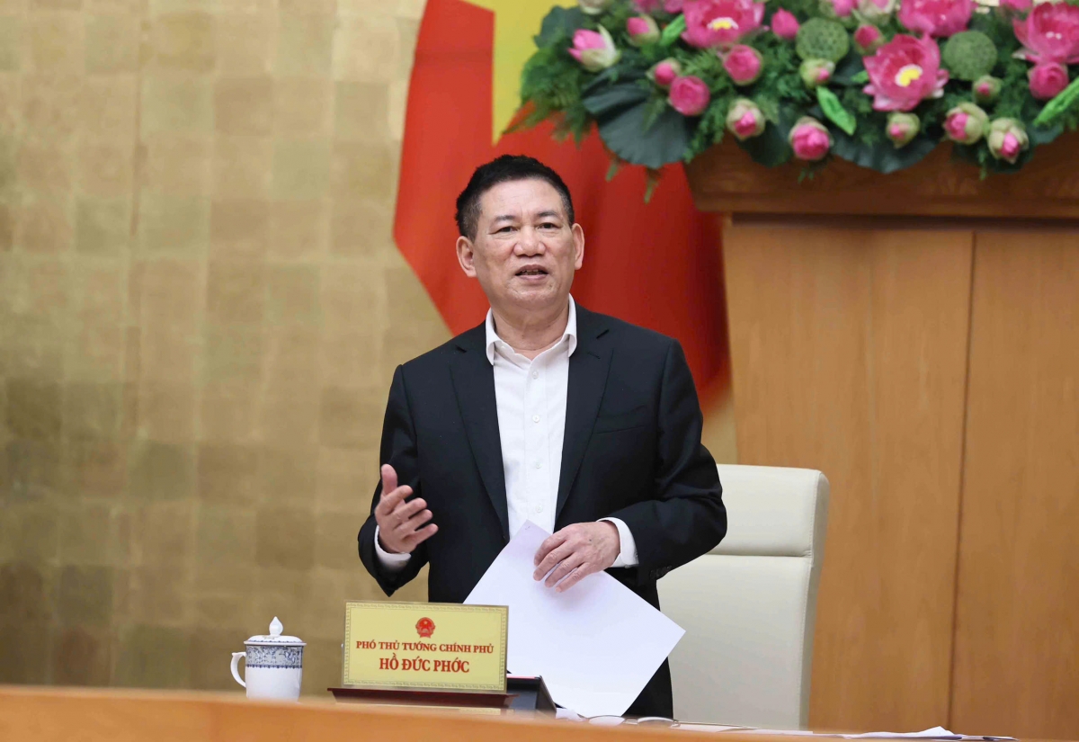 Phó Thủ tướng Chính phủ Hồ Đức Phớc, Trưởng Ban Chỉ đạo đổi mới và phát triển doanh nghiệp (Ảnh: An Đăng)