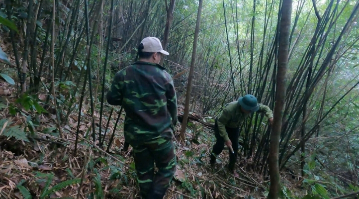 Staff of the Tuong Duong Protective Forest Management Board set up camera traps.