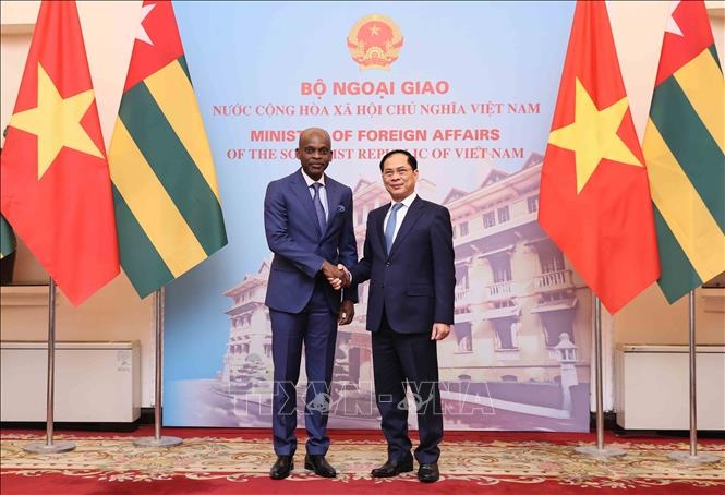 Phó Thủ tướng, Bộ trưởng Bộ Ngoại giao Bùi Thanh Sơn đón Bộ trưởng Ngoại giao, Hội nhập khu vực và Kiều dân nước Cộng hòa Togo Robert Dussey. Anh: An Đăng/TTXVN