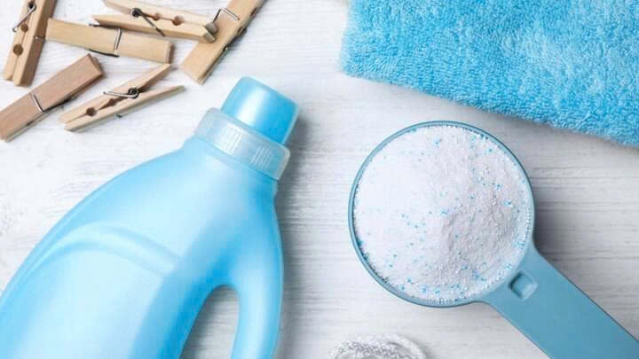 Tưới bột giặt cho cây cảnh có tác dụng gì? (Ảnh: Vecteezy)