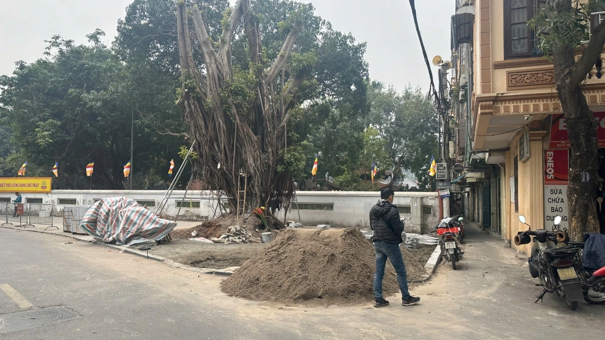Dù cơn <a href="https://vov.vn/xa-hoi/4-thang-sau-bao-yagi-bao-gio-ha-noi-trong-va-thay-the-bo-sung-cay-xanh-tren-via-he-post1147726.vov" target="_blank">bão số 3</a> đã qua được 4 tháng nhưng đến sát Tết vỉa hè trên tuyến phố  Hương Viên bị vỡ nát do cây đổ mới được cải tạo lát mới.
