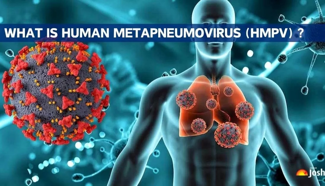 Virus HPMV gây viêm phổi ở người. Ảnh: Jagran Josh.