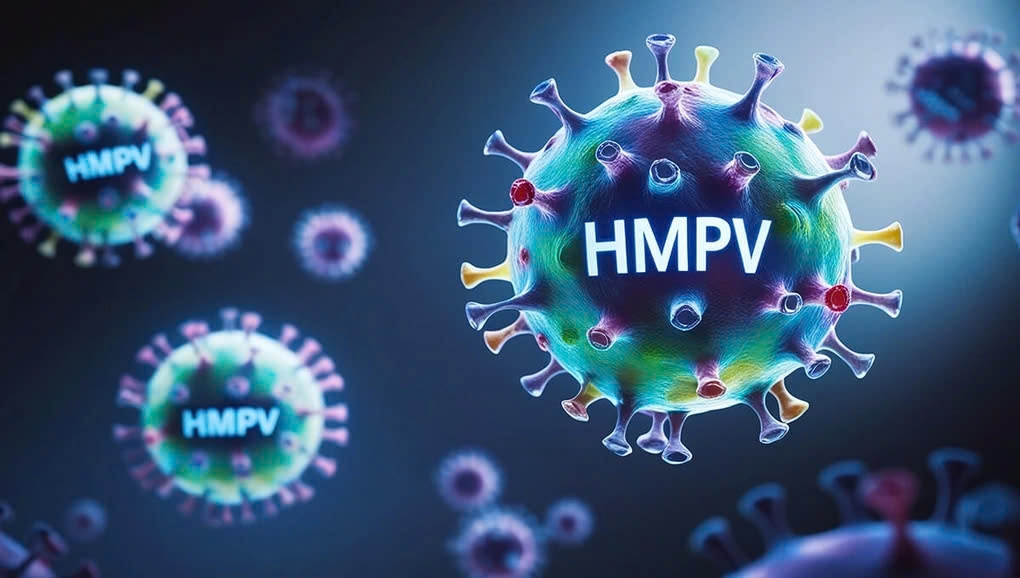 hMPV cũng là một virus phổ biến gây nhiễm trùng hô hấp (Ảnh: Artemis).