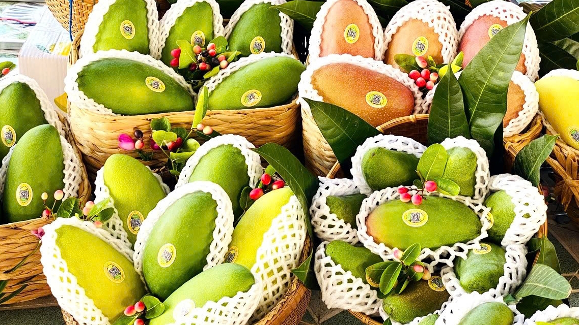 Vùng ĐBSCL cần có chiến lược phát triển xuất khẩu bền vững