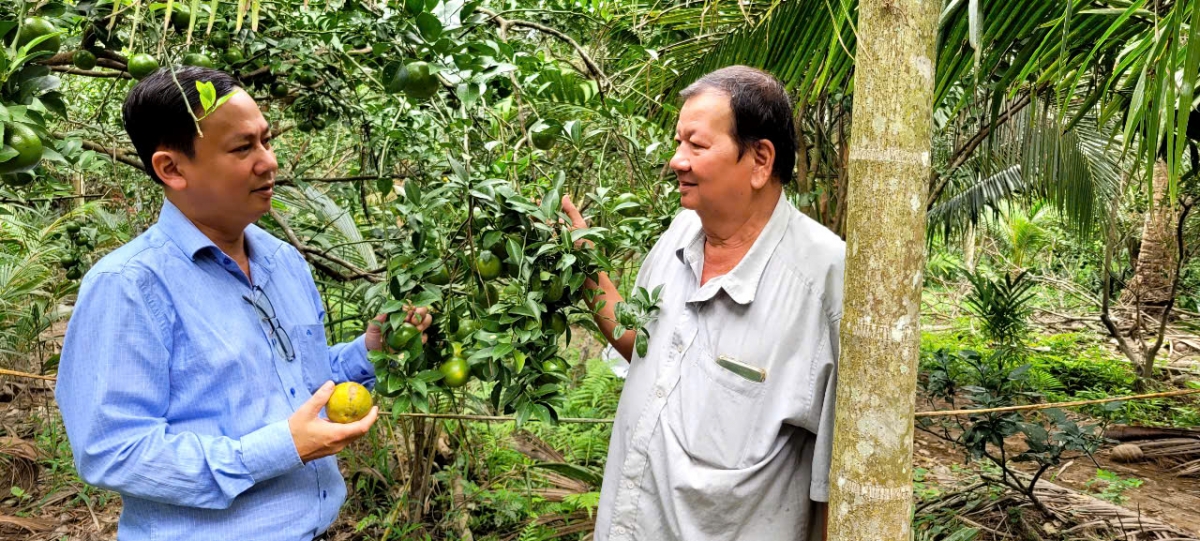 Nông dân Nguyễn Văn Bảy nắm vững kỹ thuật canh tác theo hướng GAP