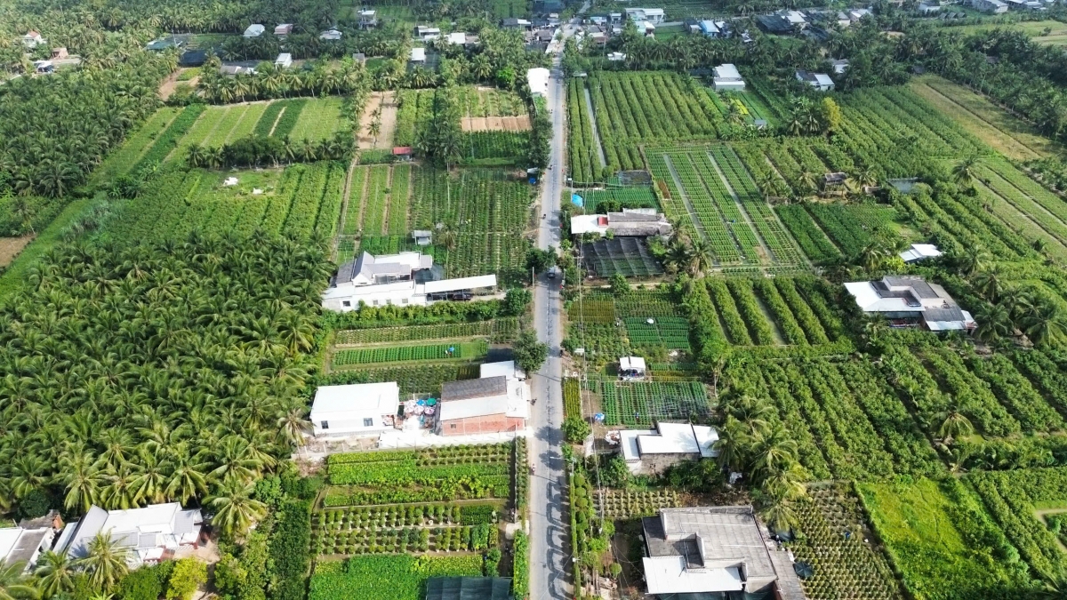 Sản xuất nông nghiệp tại Bến Tre được ưu tiên bảo vệ khi nước mặn đến sớm