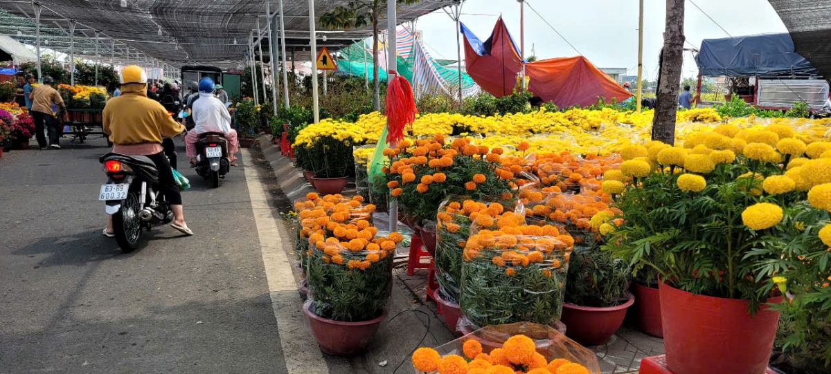 Chợ Hoa Xuân  Mỹ Tho lung linh sắc màu.