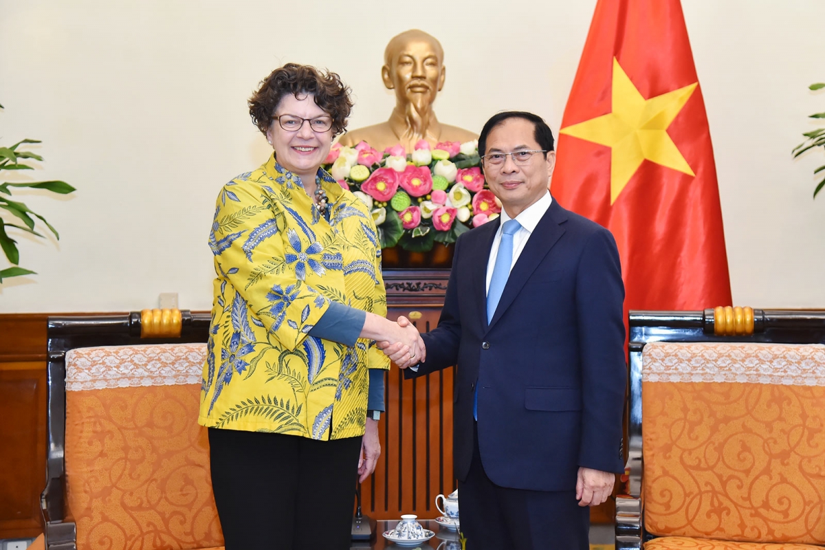 Bộ trưởng Ngoại giao Bùi Thanh Sơn tiếp Đại sứ Đức Helga Margarete