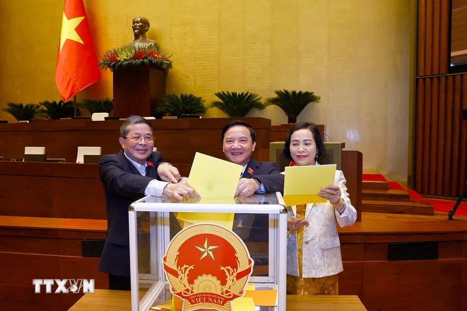 Các Phó Chủ tịch Quốc hội bỏ phiếu bầu Phó Chủ tịch Quốc hội và Ủy viên Ủy ban Thường vụ Quốc hội; phê chuẩn đề nghị của Thủ tướng Chính phủ về việc bổ nhiệm các Phó Thủ tướng Chính phủ, Bộ trưởng và thành viên khác của Chính phủ.