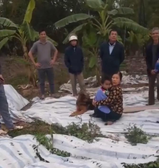 Người dân nói về clip chó cưng nằm cạnh suốt đêm 'bảo vệ' bé trai 5 tuổi đi lạc