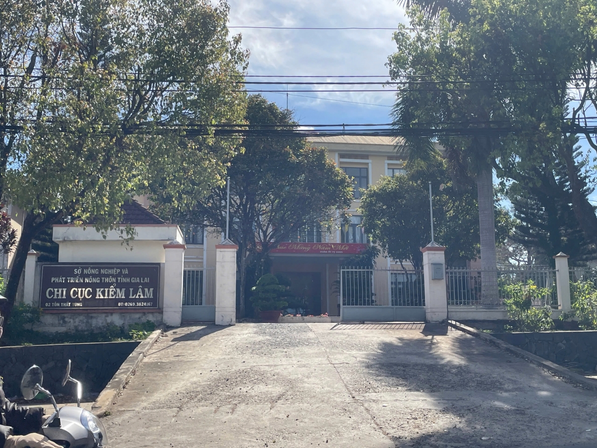 Tại Chi cục Kiểm lâm Gia Lai, ông Dương Hoàng Nguyện, Phó Chi cục trưởng cùng nhiều lãnh đạo cấp phòng xin nghỉ hưu trước tuổi.