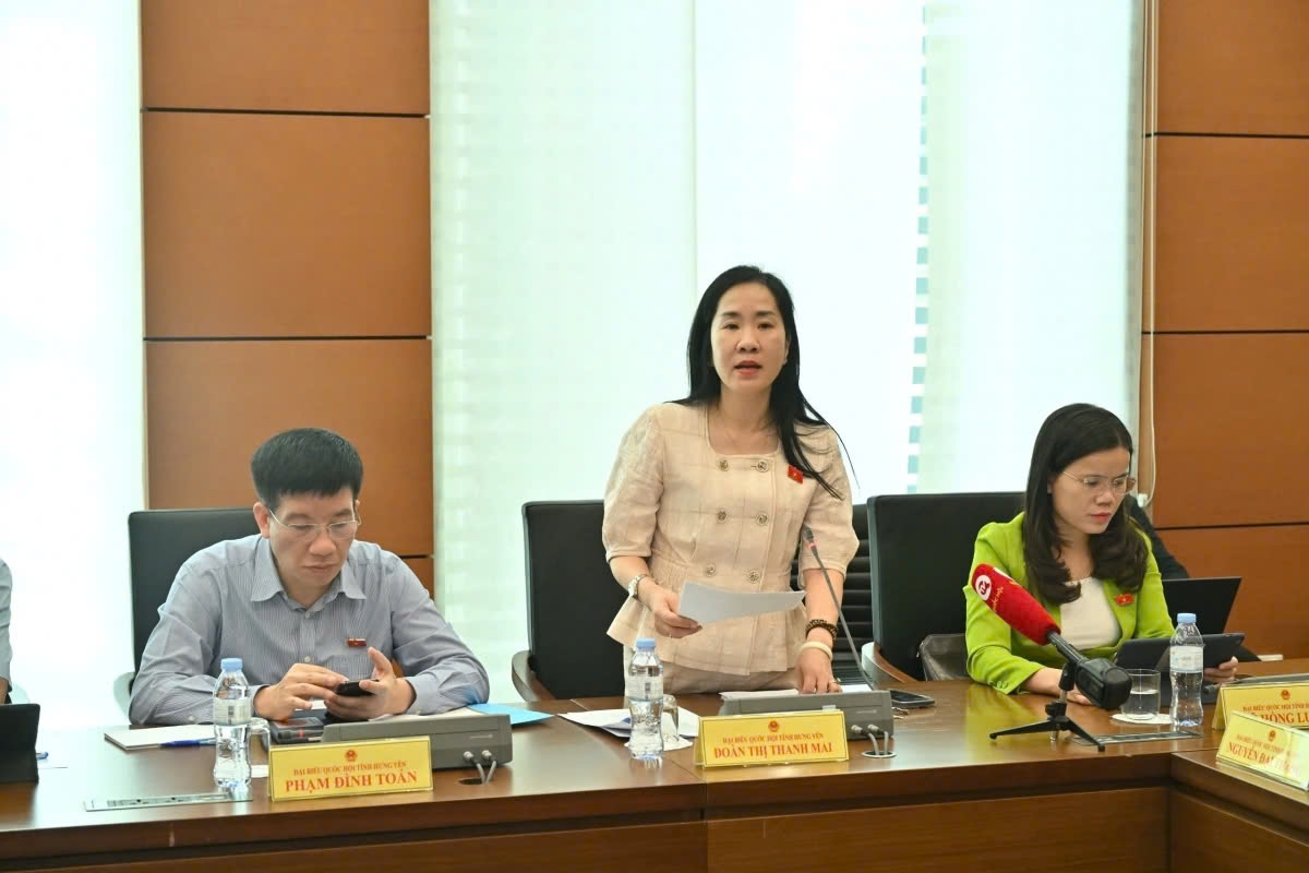Đại biểu Đoàn Thị Thanh Mai
