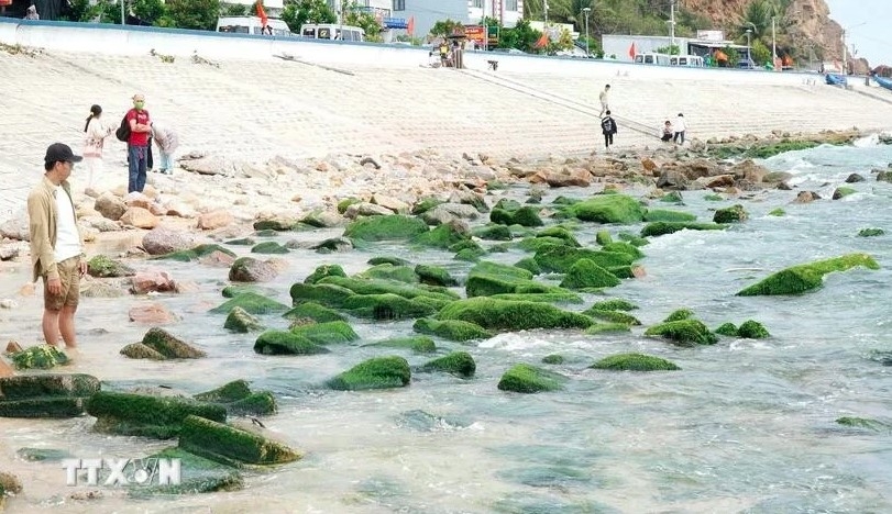 Tourists take photo at Nhon Hai's moss-covered rock beach.