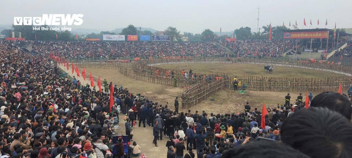 Spectators gather together at the district’s stadium from the early morning, with thousands flocking to attend the buffalo fighting competition.