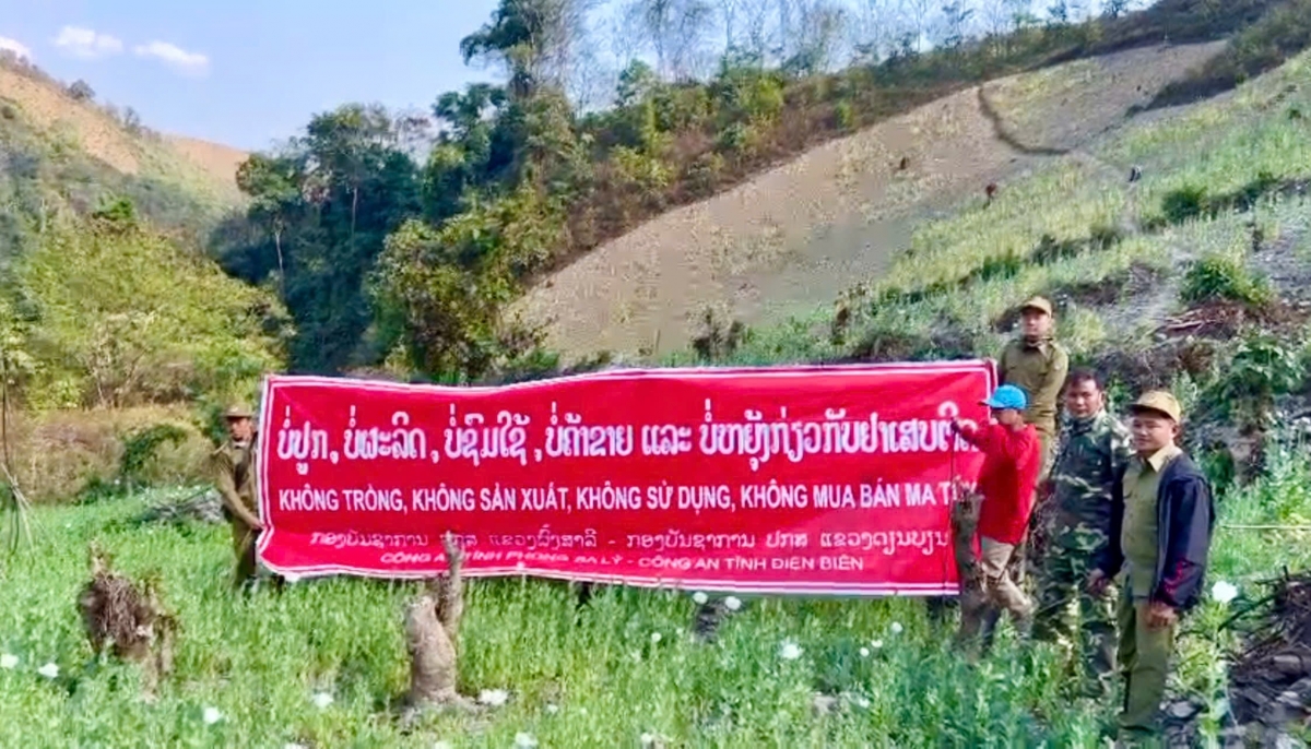 Chiến dịch phá nhổ quy mô lớn thể hiện quyết tâm ngăn chặn nguồn cung ma túy từ biên giới vào Việt Nam.