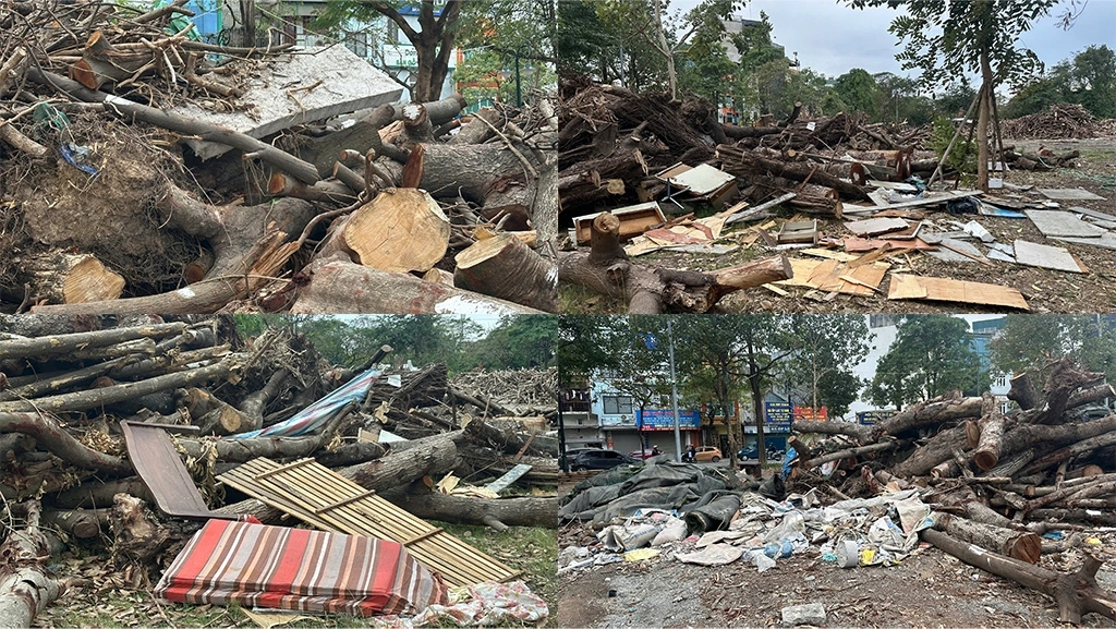 Ban đêm các loại rác sinh hoạt dễ dàng mang đến đổ trộm mà không gặp cản trở nào. Rác sinh hoạt cùng gỗ củi chồng chất lưu cữu gây ô nhiễm môi trường.