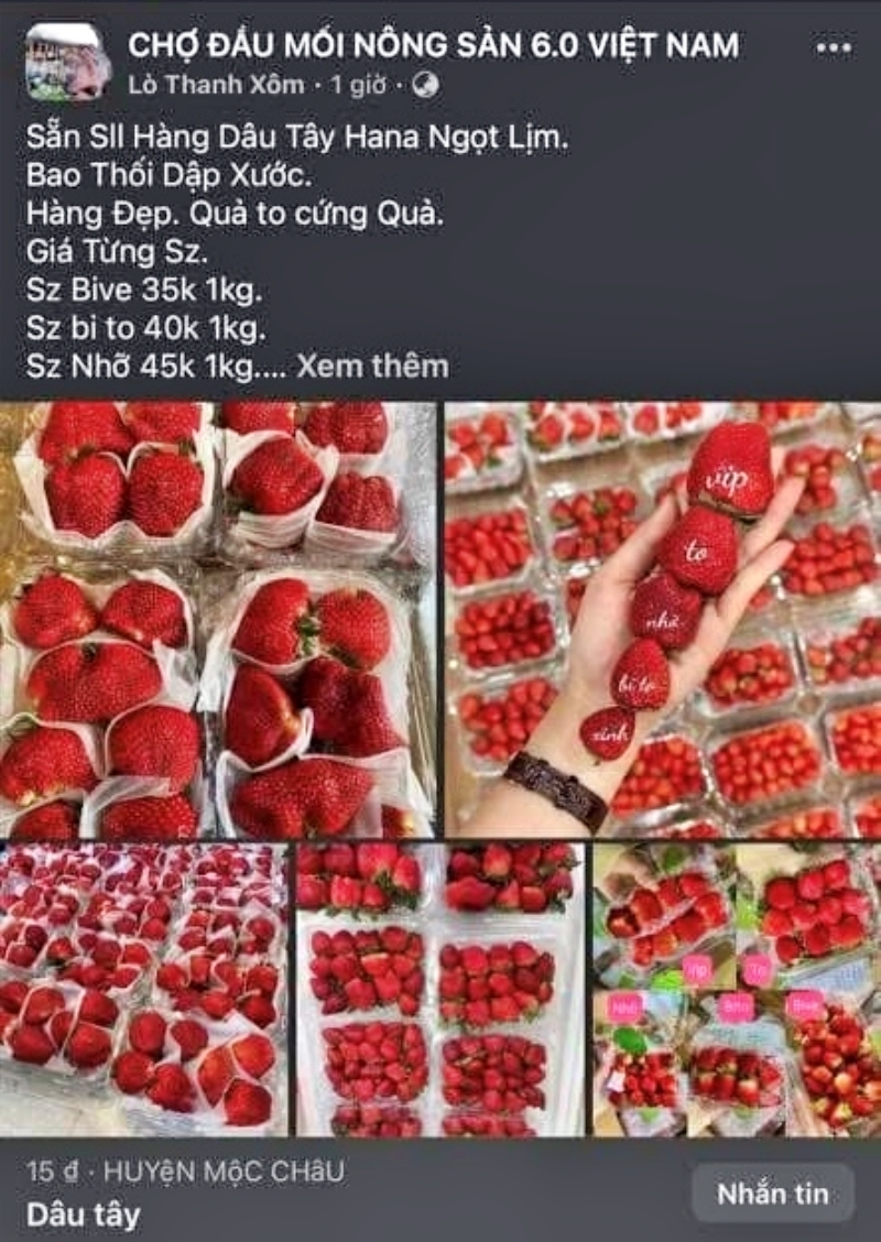 Hình ảnh đối tượng Xôm đăng trên các hội nhóm với mục đích lừa đảo.