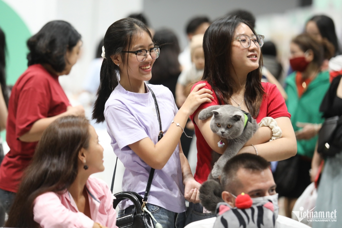 InterPet Fest that draws the participation of 200 brands from the Republic of Korea, China, Japan, and Vietnam, aims to spread love for animals and provide a fun space for pet lovers.